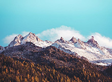 开云体育：云端之力点亮每一次运动的热情